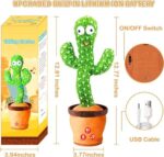 Rechargeable Dancing Cactus - Talking & Repeats | Velinor - Image 2